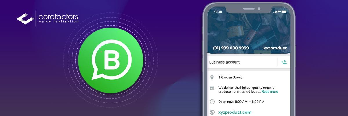 WhatsApp business account information details