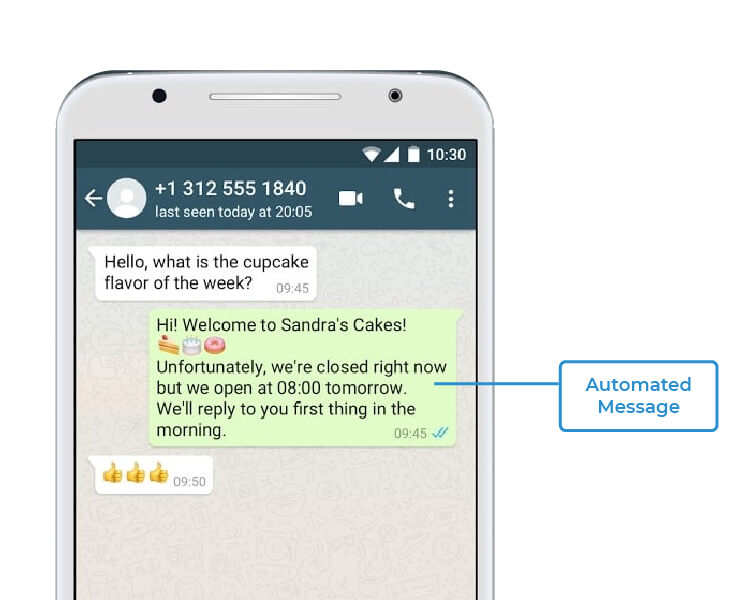whatsapp automated messages